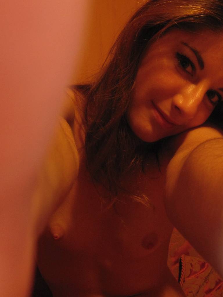 Photo de Genista